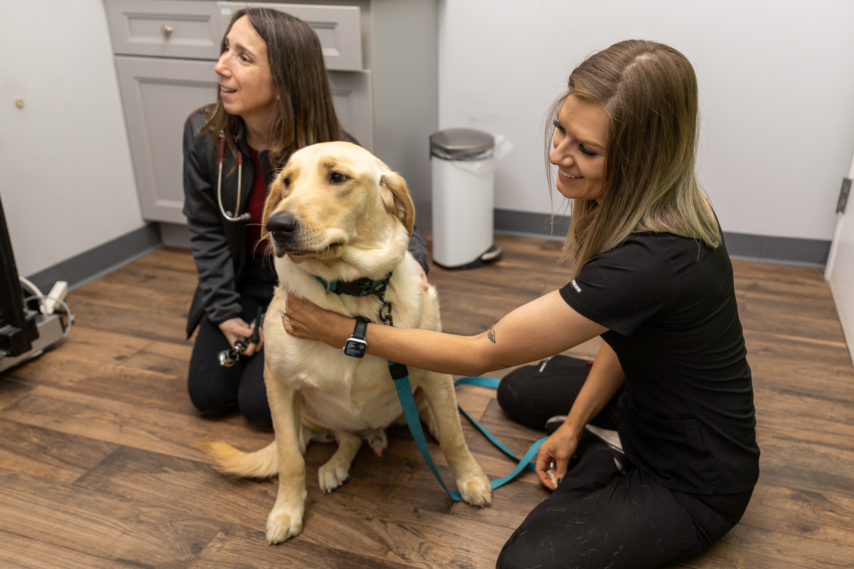 Clover Hill Animal Hospital in Flemington, NJ