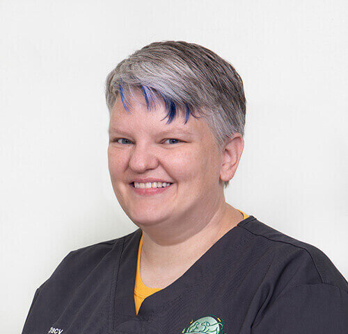 Tracy Roksvaag